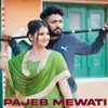 About Pajeb Mewati Song
